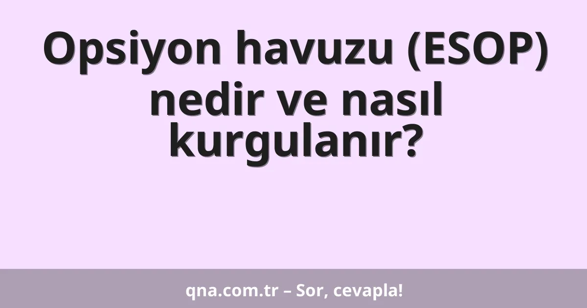 Opsiyon havuzu (ESOP) nedir ve nasıl kurgulanır?