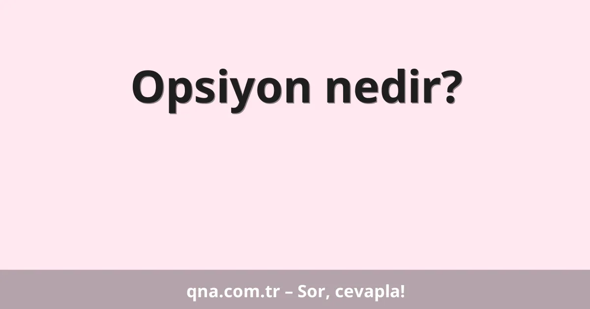 Opsiyon nedir?