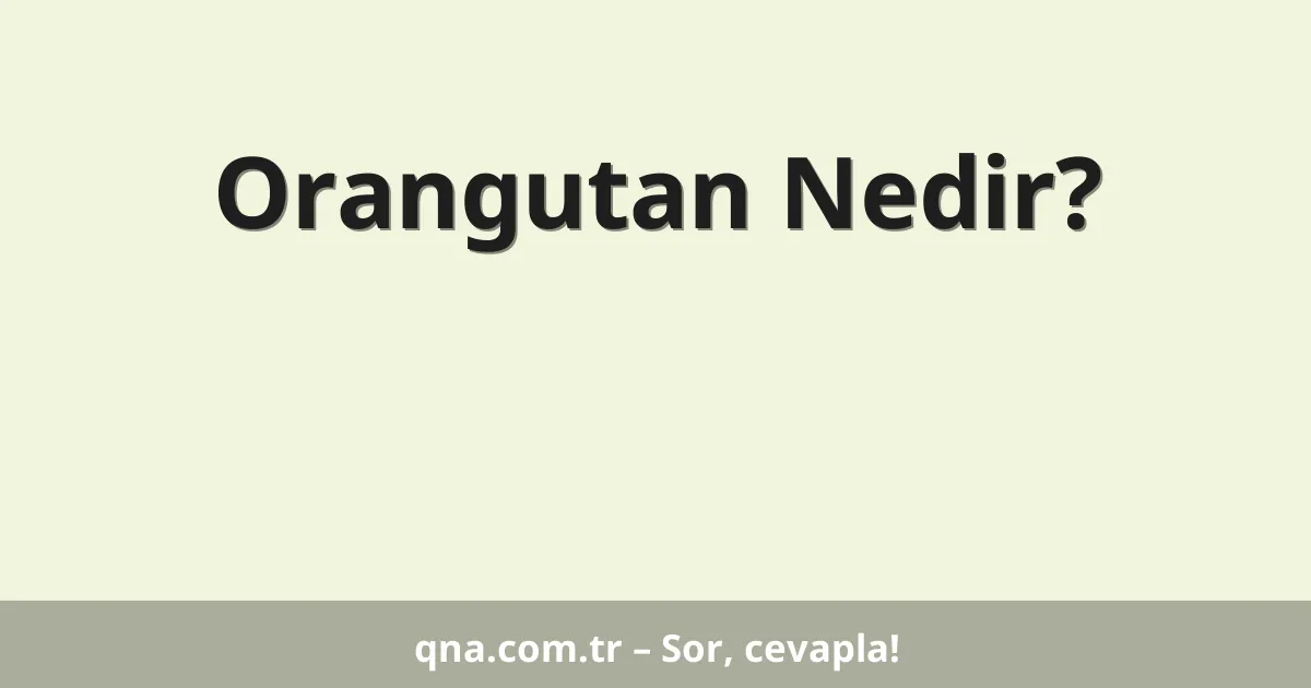 Orangutan Nedir?
