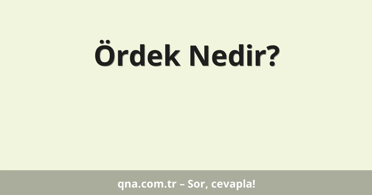 Ördek Nedir?