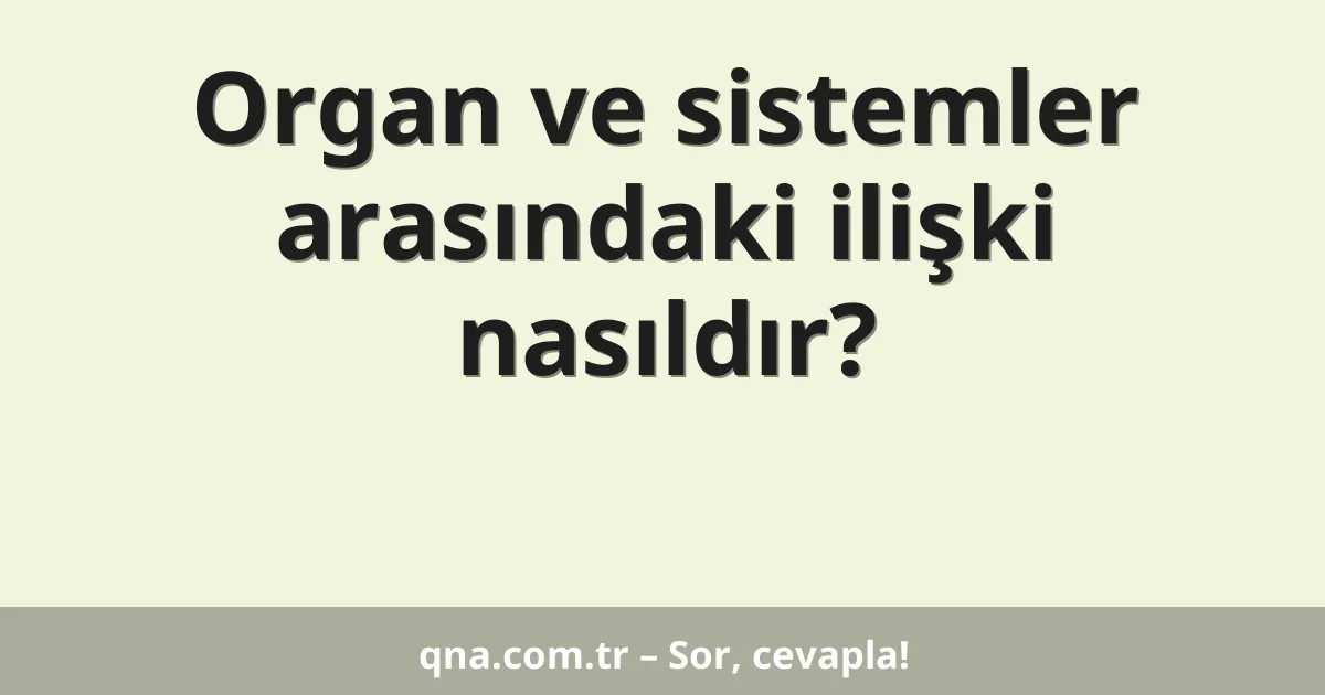 Organ ve sistemler arasındaki ilişki nasıldır?