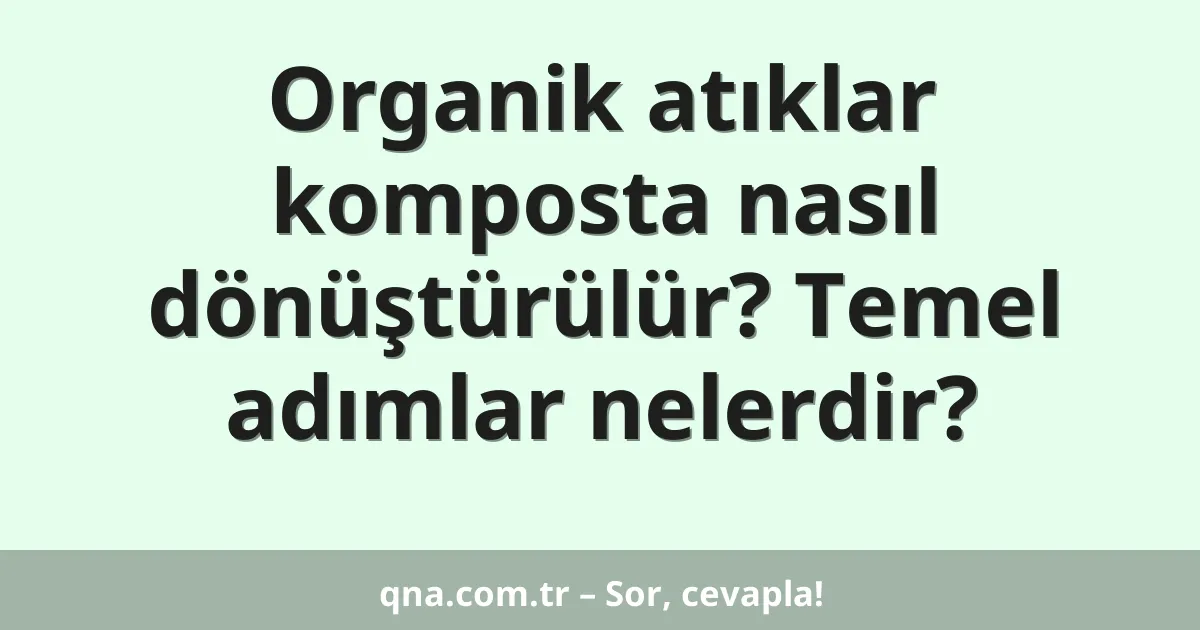 Organik atıklar komposta nasıl dönüştürülür? Temel adımlar nelerdir?
