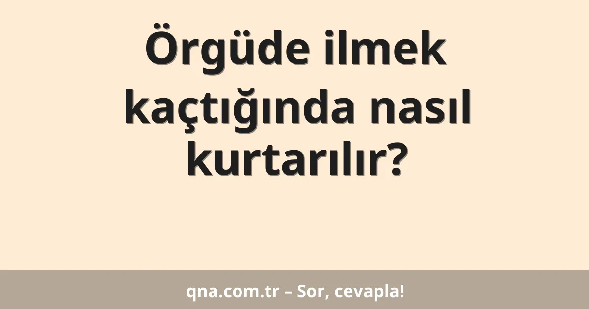 Örgüde ilmek kaçtığında nasıl kurtarılır?