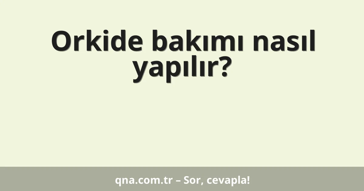Orkide bakımı nasıl yapılır?