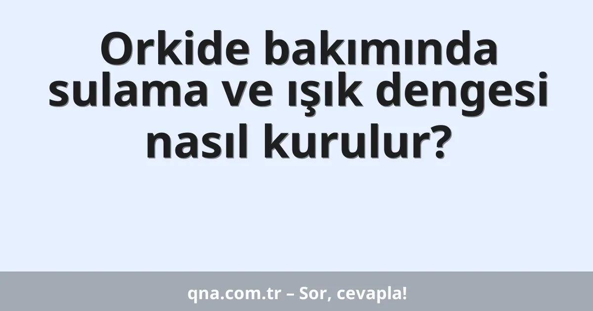 Orkide bakımında sulama ve ışık dengesi nasıl kurulur?