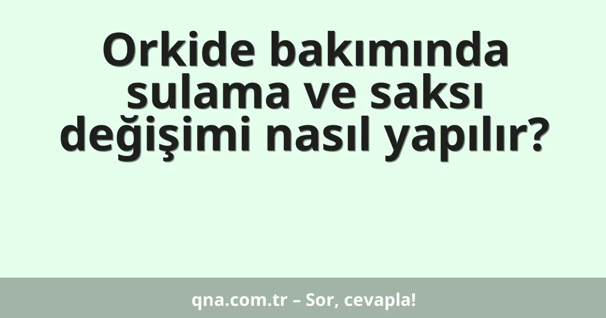 Orkide bakımında sulama ve saksı değişimi nasıl yapılır?