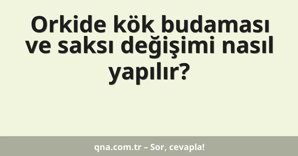Orkide kök budaması ve saksı değişimi nasıl yapılır?