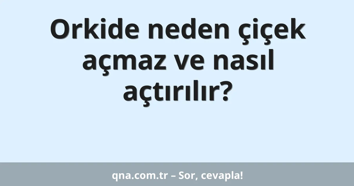 Orkide neden çiçek açmaz ve nasıl açtırılır?