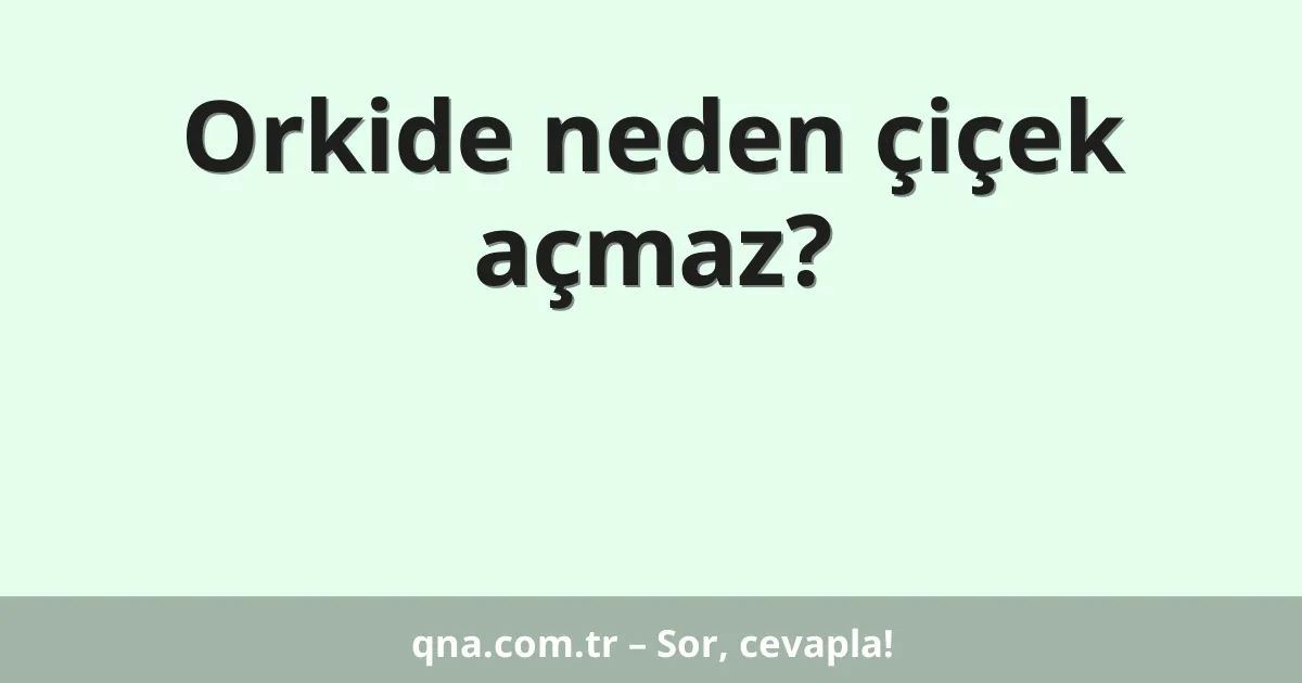 Orkide neden çiçek açmaz?