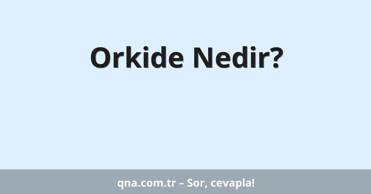 Orkide Nedir?