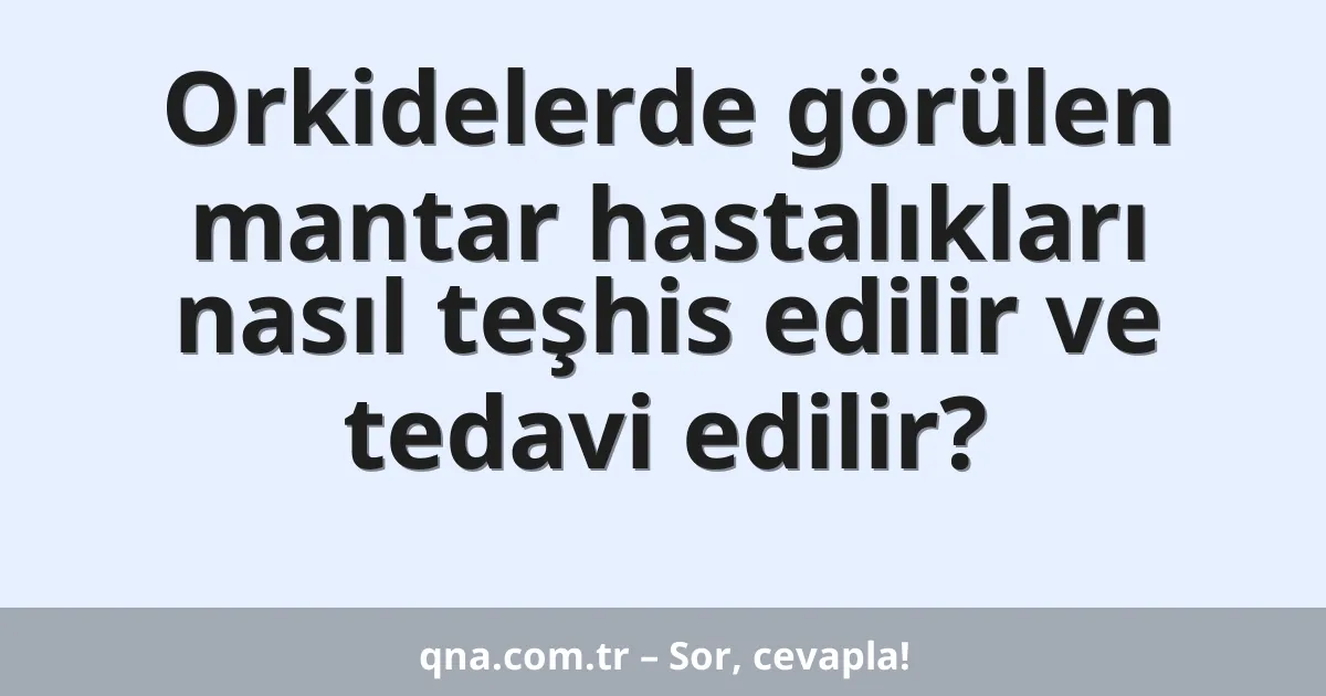 Orkidelerde görülen mantar hastalıkları nasıl teşhis edilir ve tedavi edilir?