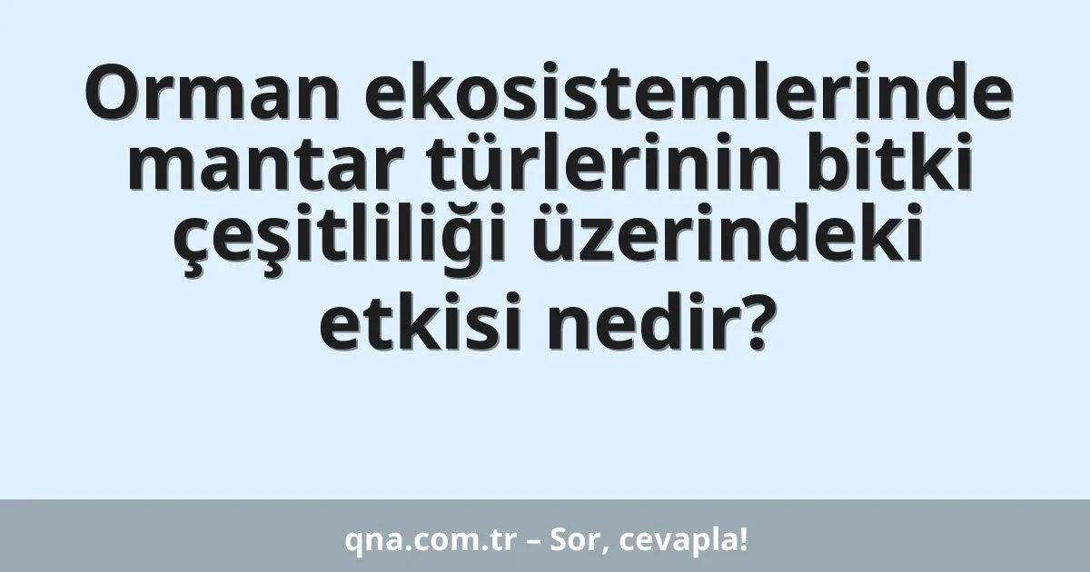 Orman ekosistemlerinde mantar türlerinin bitki çeşitliliği üzerindeki etkisi nedir?