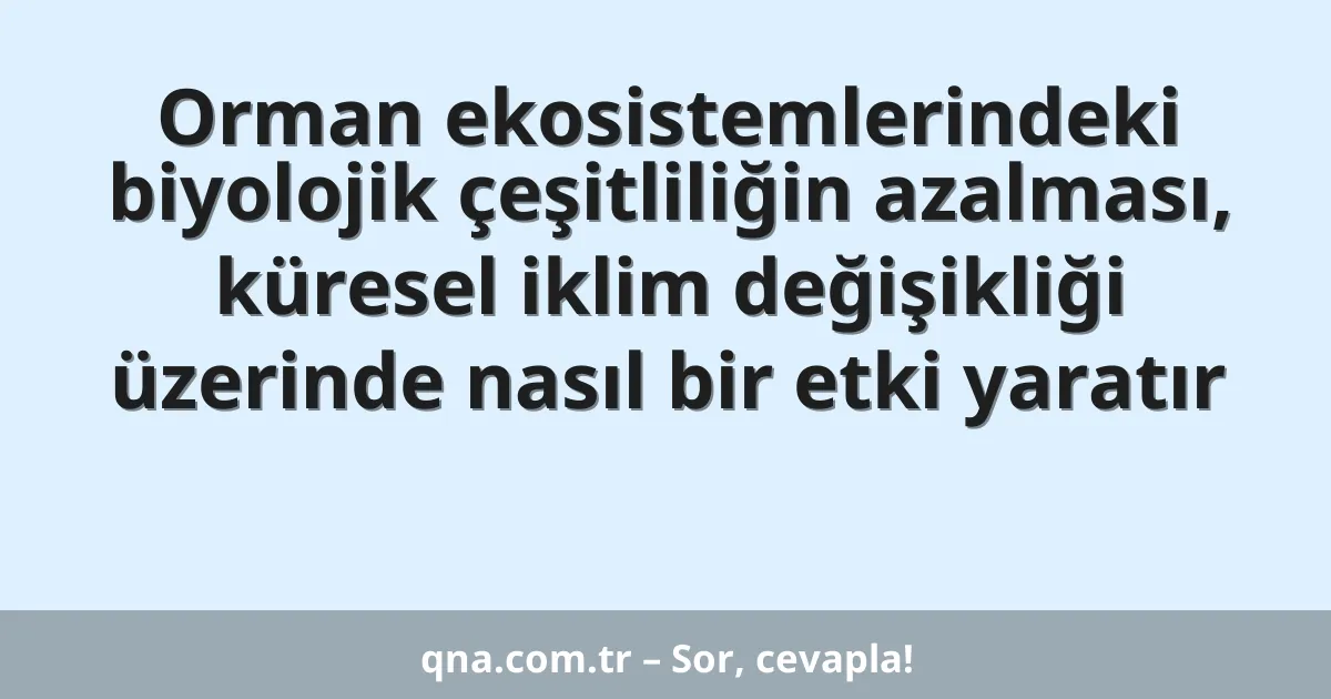 Orman ekosistemlerindeki biyolojik çeşitliliğin azalması, küresel iklim değişikliği üzerinde nasıl bir etki yaratır