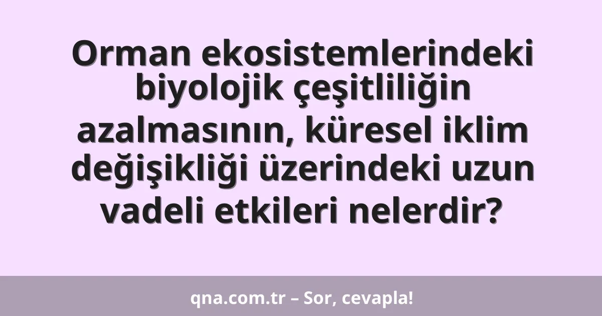 Orman ekosistemlerindeki biyolojik çeşitliliğin azalmasının, küresel iklim değişikliği üzerindeki uzun vadeli etkileri nelerdir?