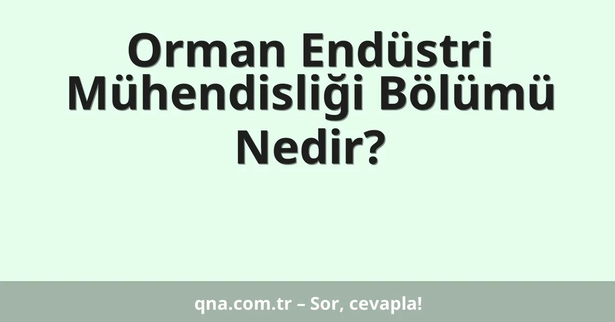 Orman Endüstri Mühendisliği Bölümü Nedir?