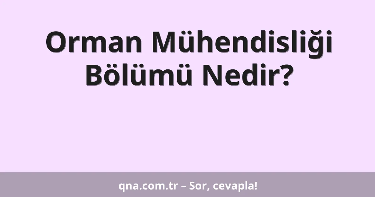 Orman Mühendisliği Bölümü Nedir?