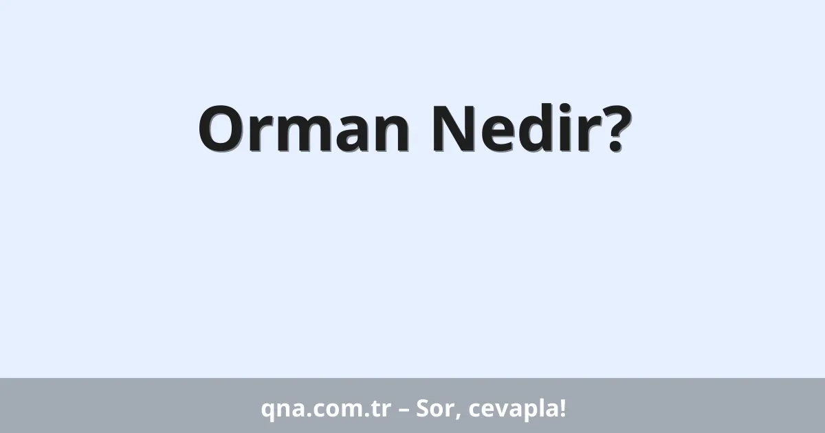Orman Nedir?