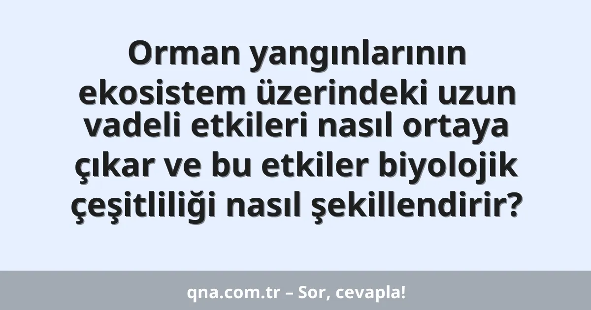 Orman yangınlarının ekosistem üzerindeki uzun vadeli etkileri nasıl ortaya çıkar ve bu etkiler biyolojik çeşitliliği nasıl şekillendirir?