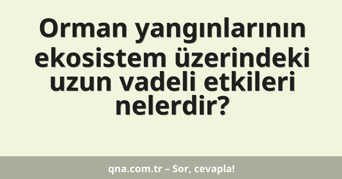 Orman yangınlarının ekosistem üzerindeki uzun vadeli etkileri nelerdir?