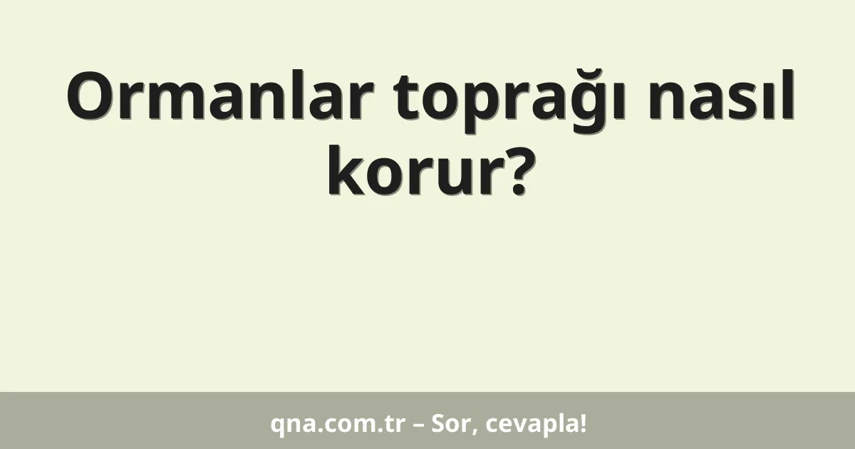 Ormanlar toprağı nasıl korur?