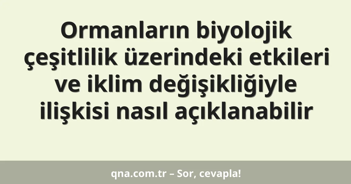 Ormanların biyolojik çeşitlilik üzerindeki etkileri ve iklim değişikliğiyle ilişkisi nasıl açıklanabilir