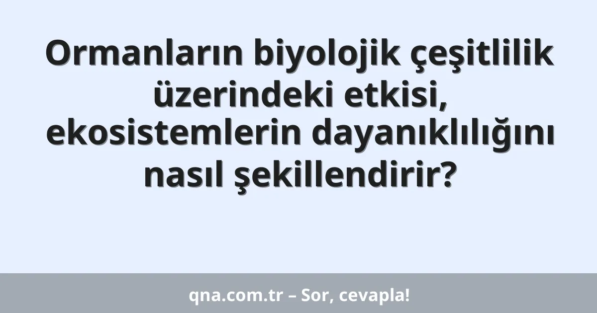 Ormanların biyolojik çeşitlilik üzerindeki etkisi, ekosistemlerin dayanıklılığını nasıl şekillendirir?