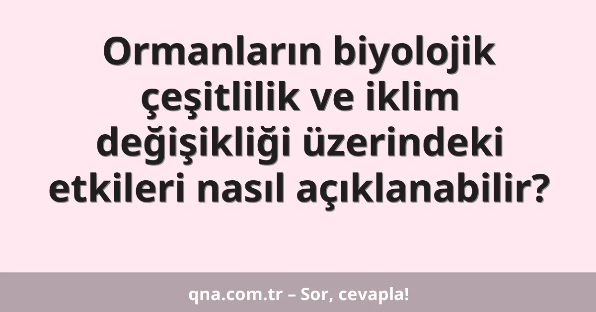 Ormanların biyolojik çeşitlilik ve iklim değişikliği üzerindeki etkileri nasıl açıklanabilir?