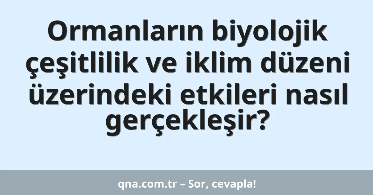 Ormanların biyolojik çeşitlilik ve iklim düzeni üzerindeki etkileri nasıl gerçekleşir?