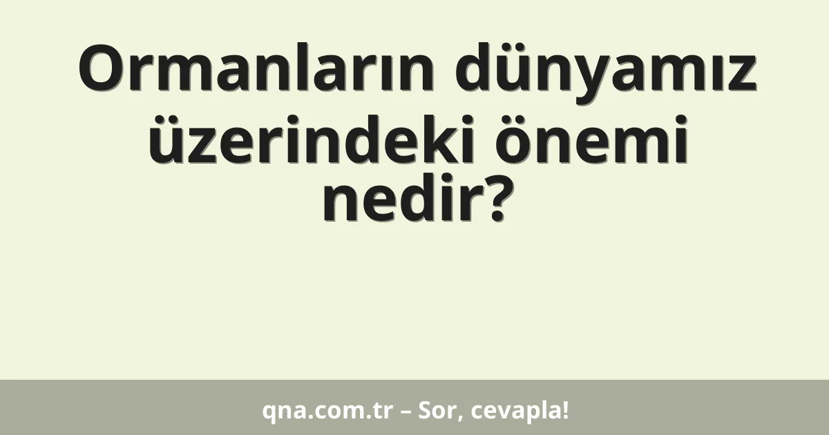 Ormanların dünyamız üzerindeki önemi nedir?