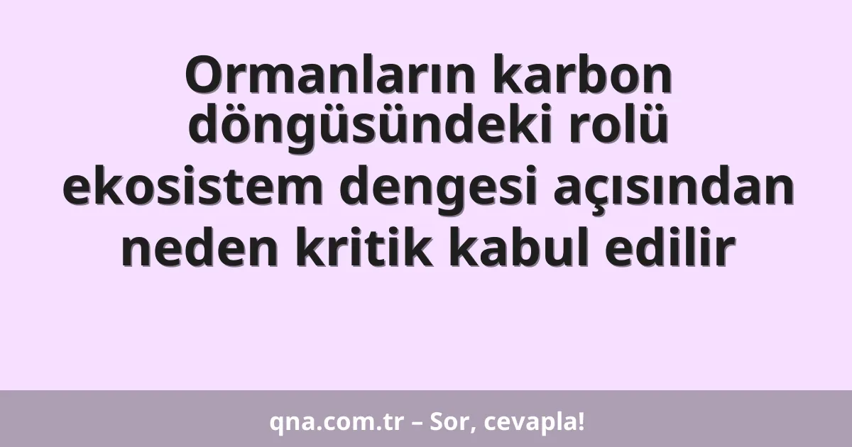 Ormanların karbon döngüsündeki rolü ekosistem dengesi açısından neden kritik kabul edilir