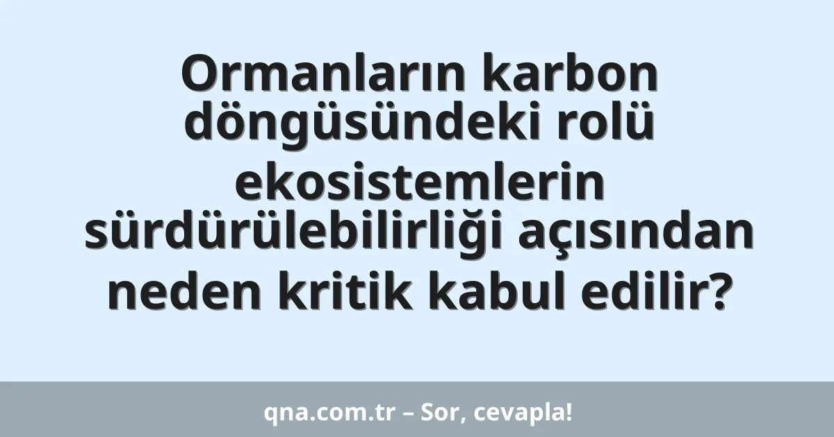 Ormanların karbon döngüsündeki rolü ekosistemlerin sürdürülebilirliği açısından neden kritik kabul edilir?