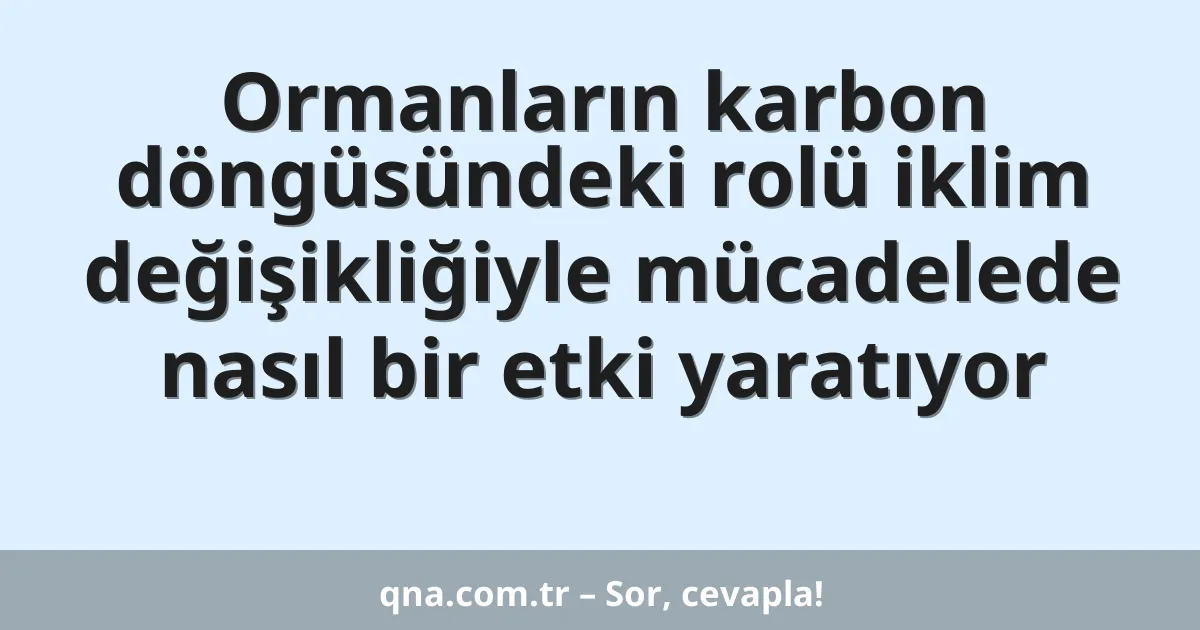 Ormanların karbon döngüsündeki rolü iklim değişikliğiyle mücadelede nasıl bir etki yaratıyor