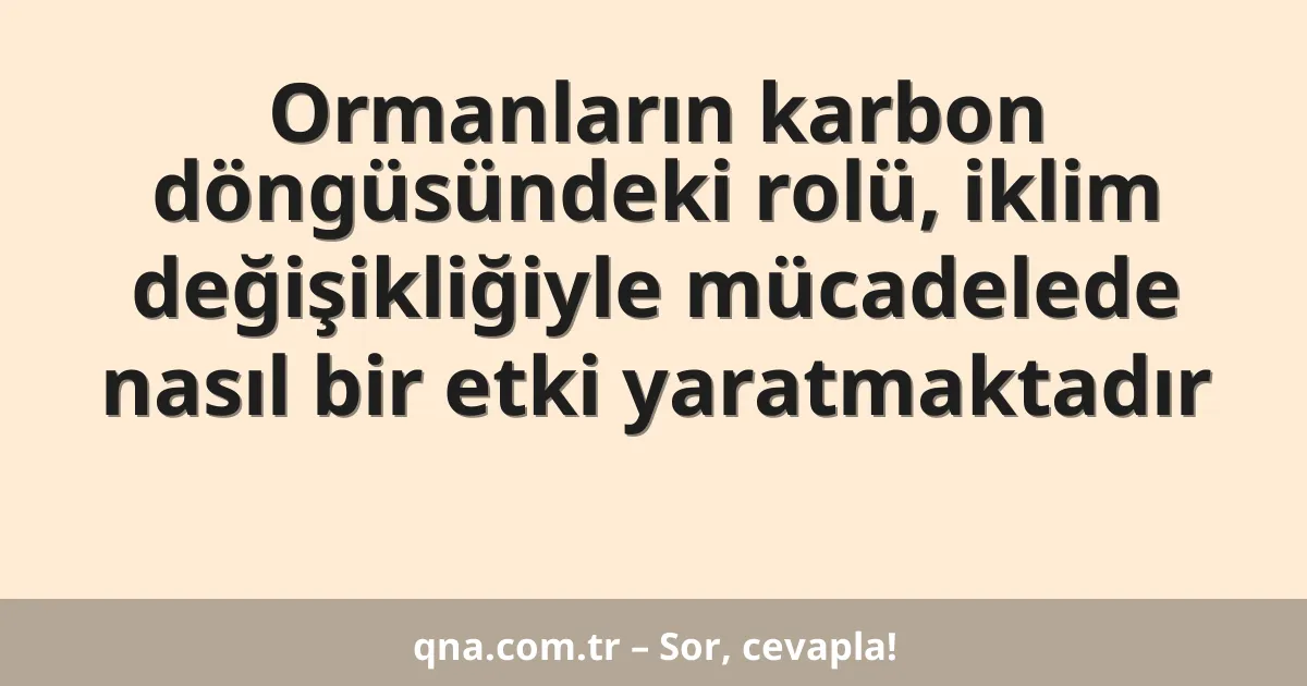 Ormanların karbon döngüsündeki rolü, iklim değişikliğiyle mücadelede nasıl bir etki yaratmaktadır
