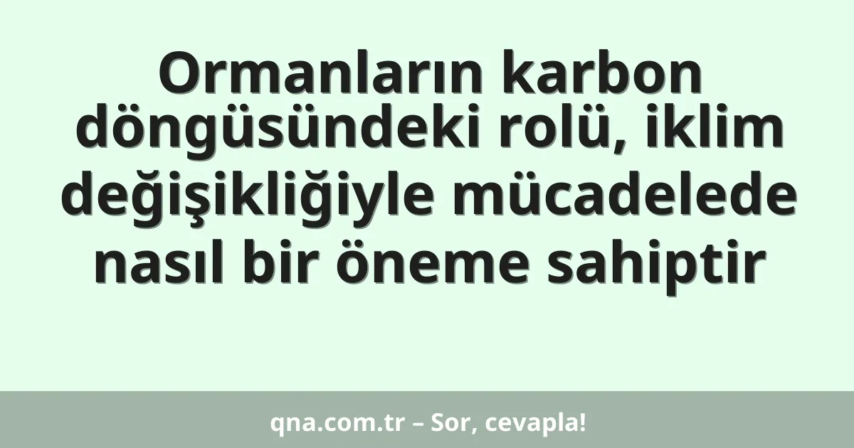 Ormanların karbon döngüsündeki rolü, iklim değişikliğiyle mücadelede nasıl bir öneme sahiptir