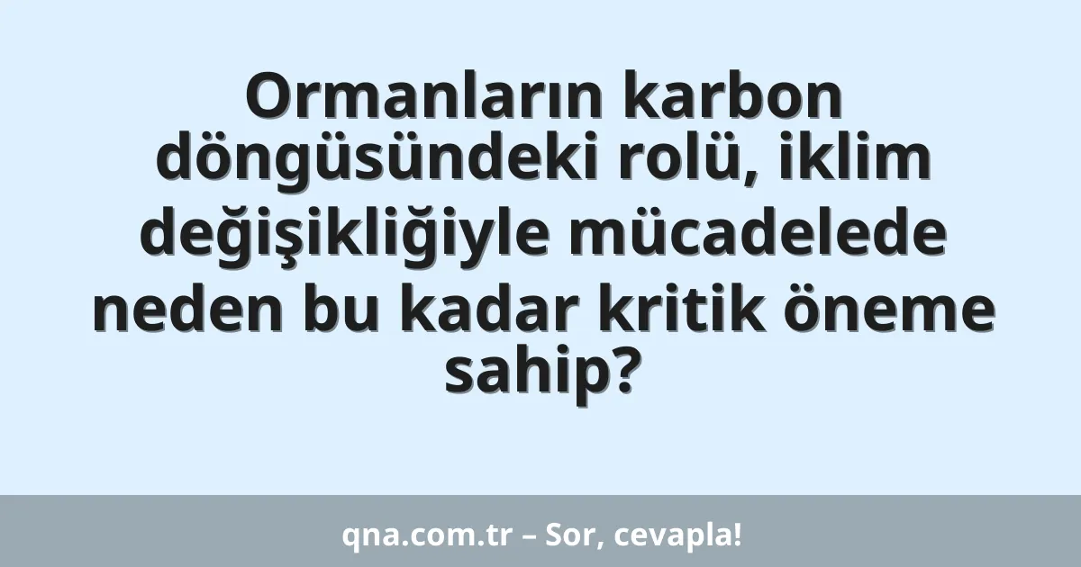 Ormanların karbon döngüsündeki rolü, iklim değişikliğiyle mücadelede neden bu kadar kritik öneme sahip?
