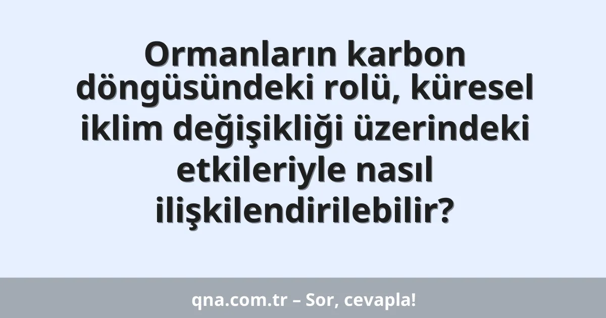 Ormanların karbon döngüsündeki rolü, küresel iklim değişikliği üzerindeki etkileriyle nasıl ilişkilendirilebilir?