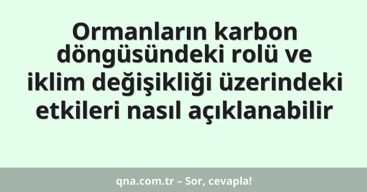 Ormanların karbon döngüsündeki rolü ve iklim değişikliği üzerindeki etkileri nasıl açıklanabilir