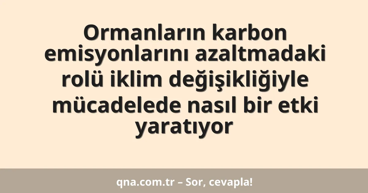 Ormanların karbon emisyonlarını azaltmadaki rolü iklim değişikliğiyle mücadelede nasıl bir etki yaratıyor