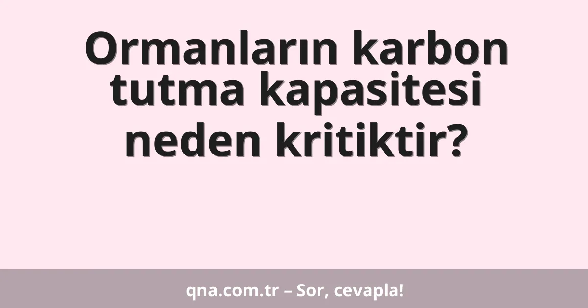 Ormanların karbon tutma kapasitesi neden kritiktir?