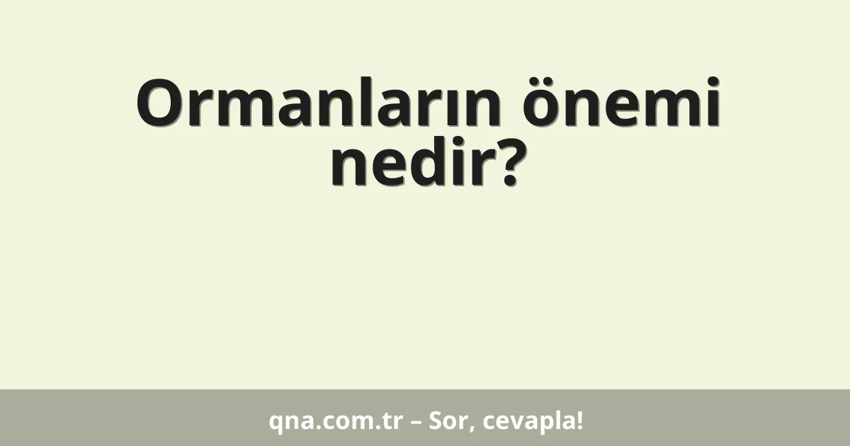 Ormanların önemi nedir?