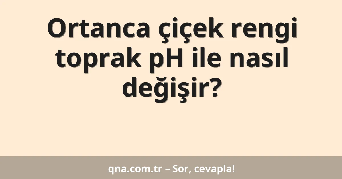 Ortanca çiçek rengi toprak pH ile nasıl değişir?