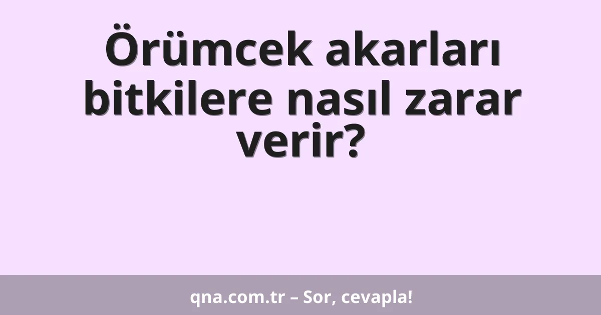 Örümcek akarları bitkilere nasıl zarar verir?