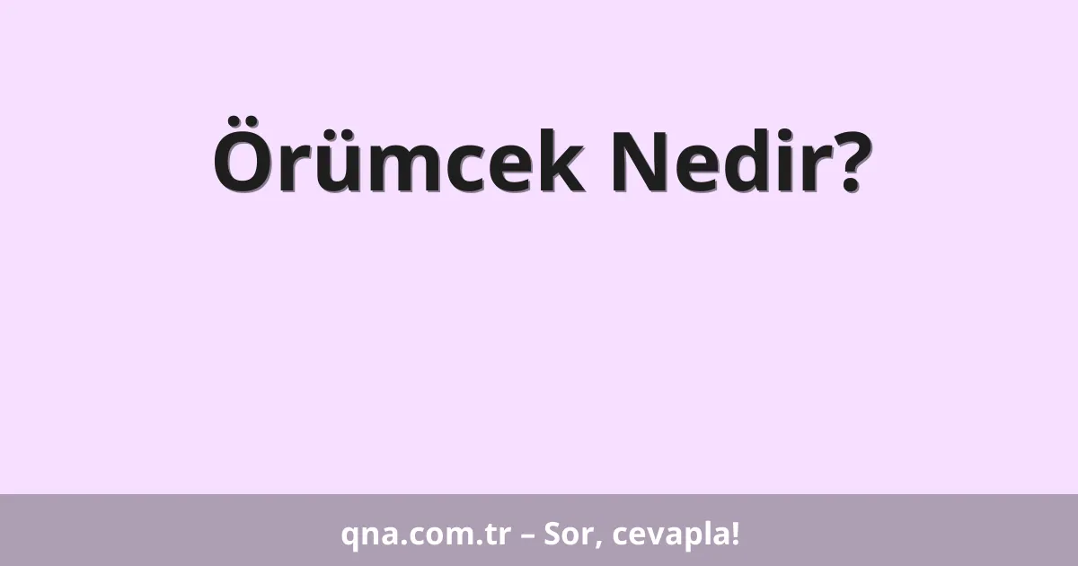 Örümcek Nedir?