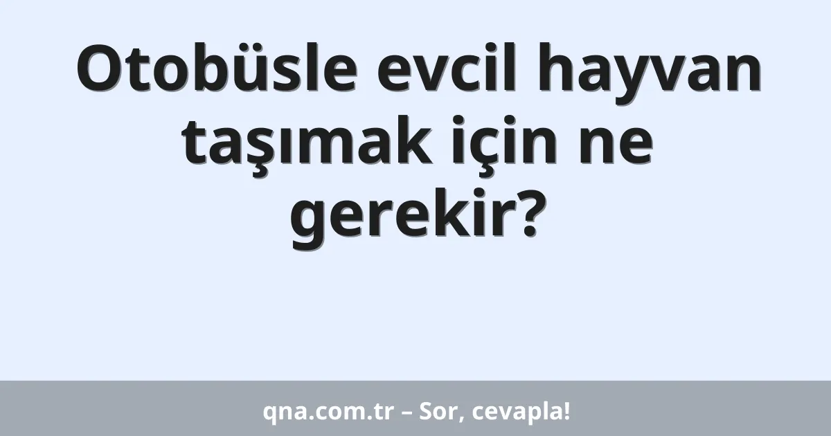 Otobüsle evcil hayvan taşımak için ne gerekir?