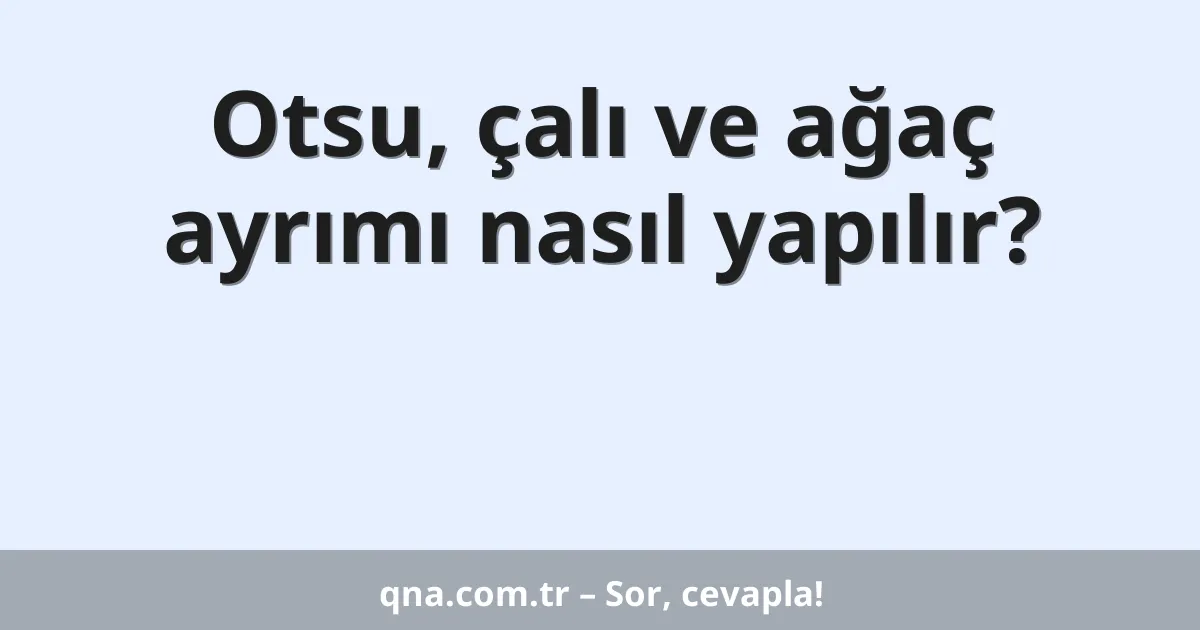 Otsu, çalı ve ağaç ayrımı nasıl yapılır?