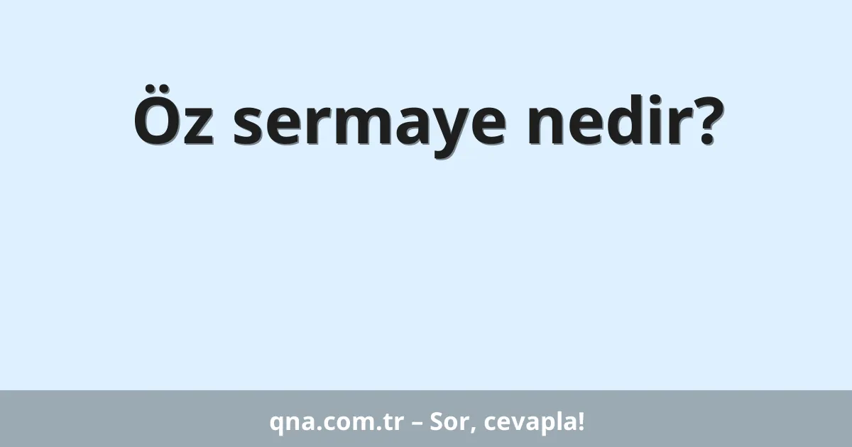 Öz sermaye nedir?