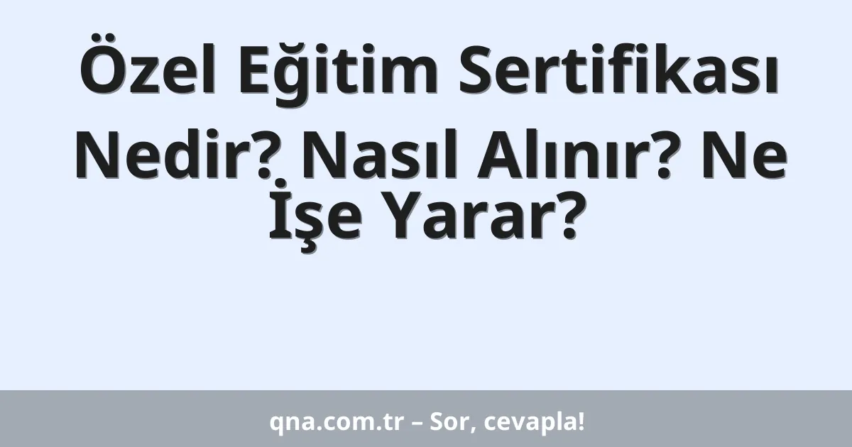 Özel Eğitim Sertifikası Nedir? Nasıl Alınır? Ne İşe Yarar?