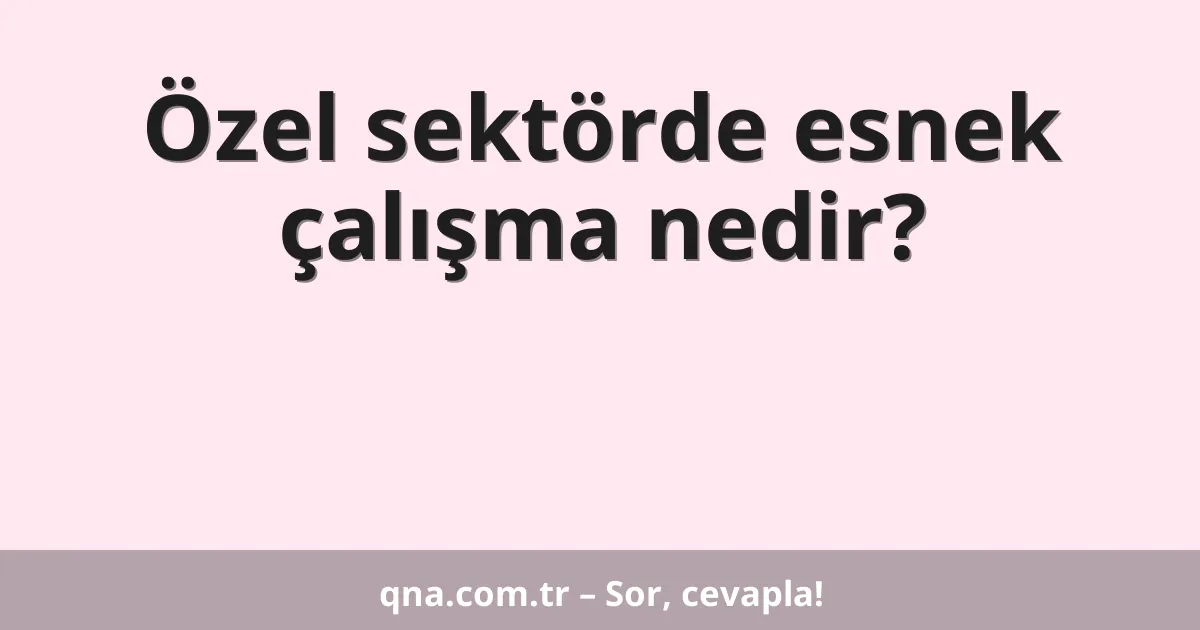Özel sektörde esnek çalışma nedir?