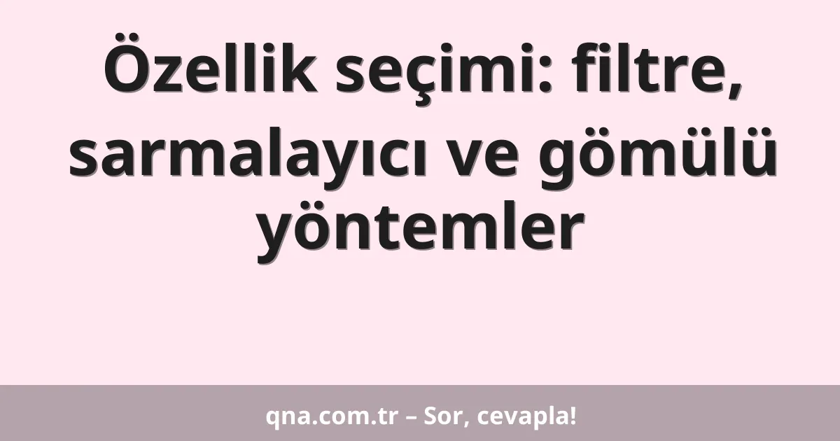 Özellik seçimi: filtre, sarmalayıcı ve gömülü yöntemler
