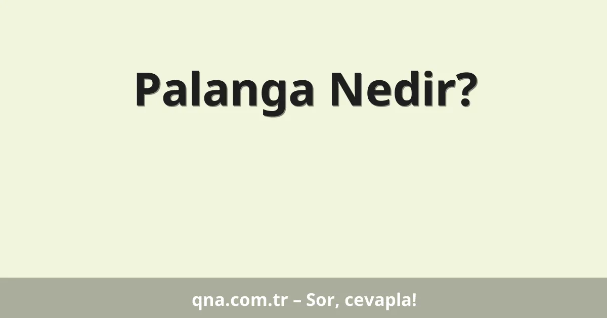 Palanga Nedir?